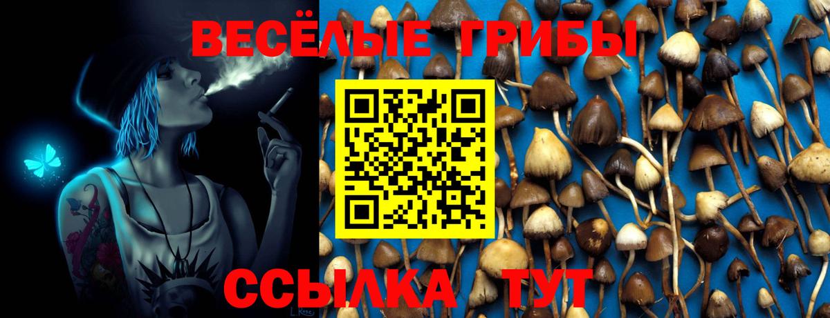 Новошахтинск  Псилоцибиновые грибы Psilocybe  где купить наркоту  Вход с VPN 