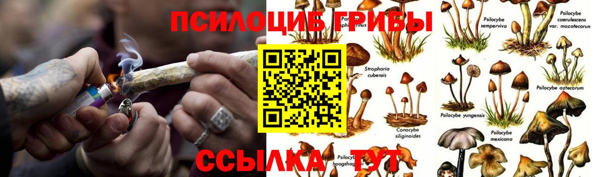 Галлюциногенные грибы MAGIC MUSHROOMS Новошахтинск
